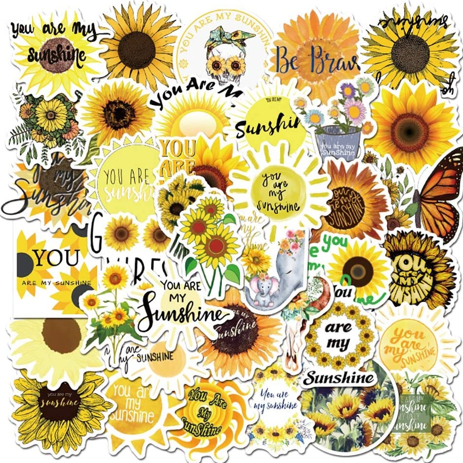 collection-banner-image