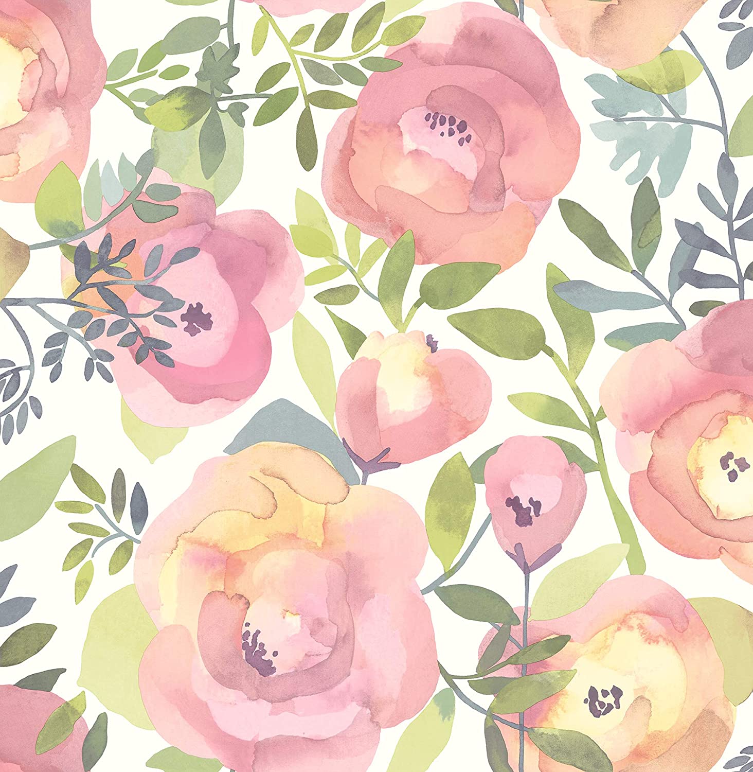 collection-banner-image